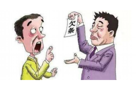 借钱讨债路上的辛酸：揭开债务纠纷的真相