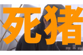 高平清债公司哪里找？揭秘高效债务处理之道